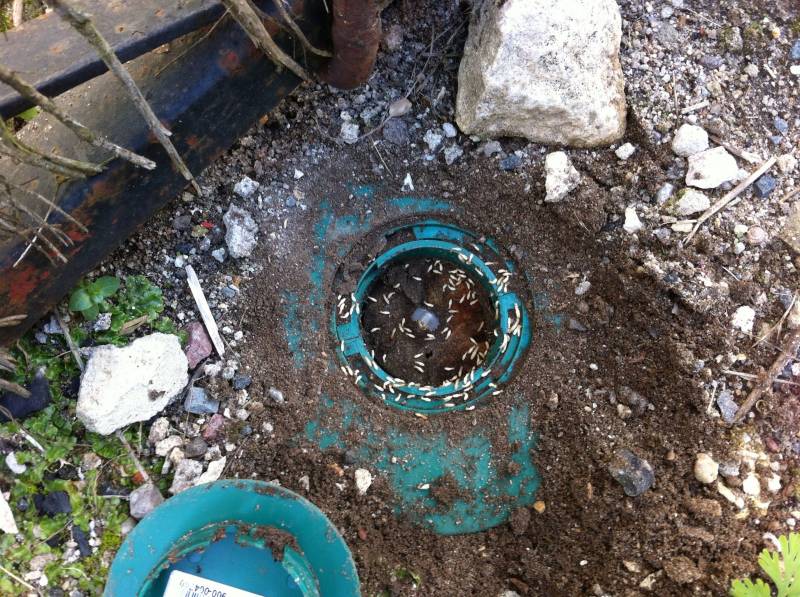 traitement termite piege lacanau