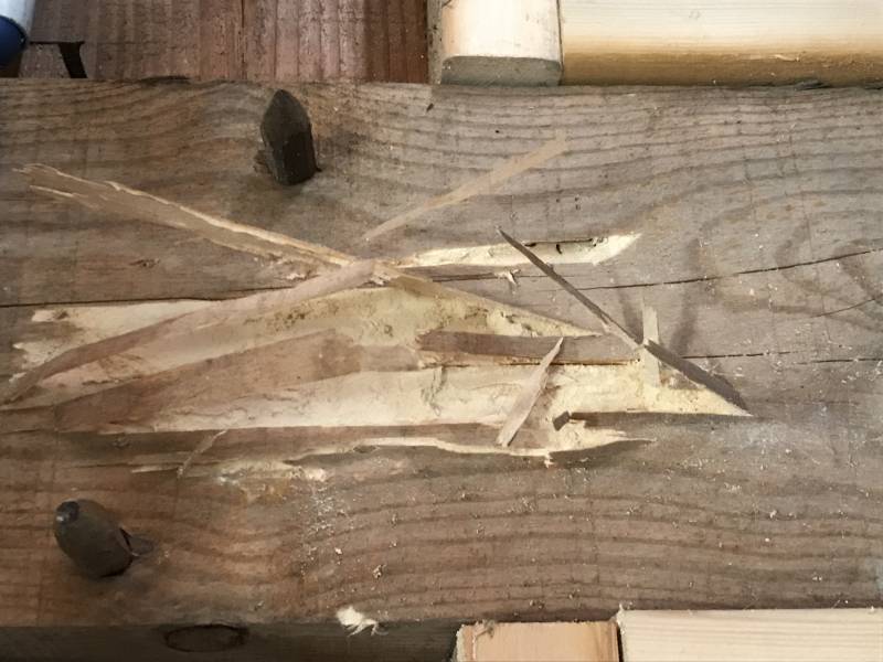 traitement bois lacanau