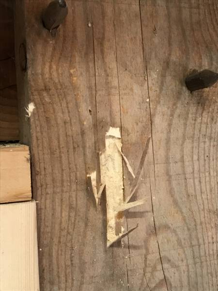 Bois attaqué par les capricornes à GRAYAN ET L'HOPITAL 