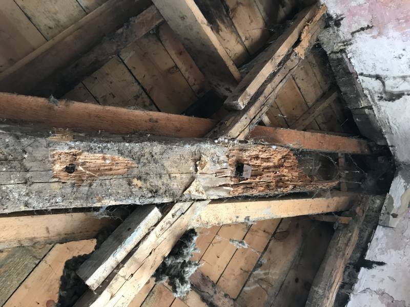 traitement charpente blaye