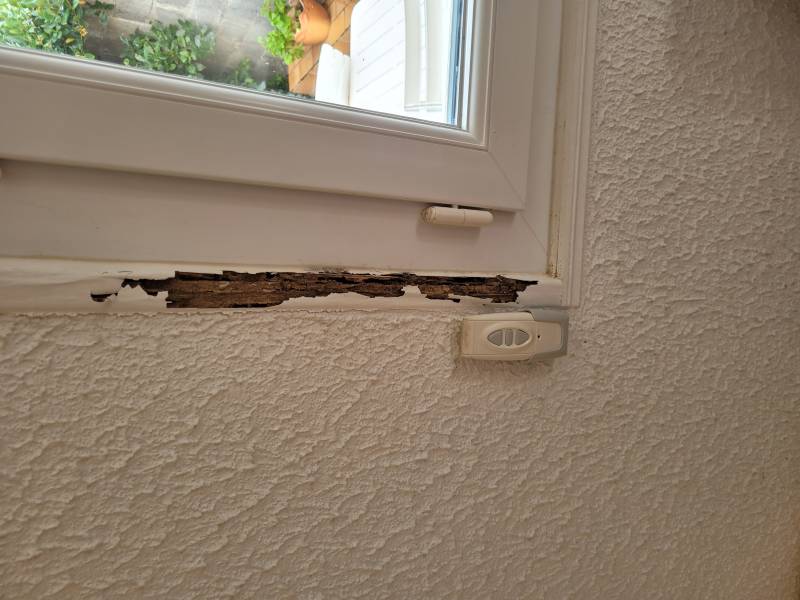 dégâts termites huisserie lesparre medoc