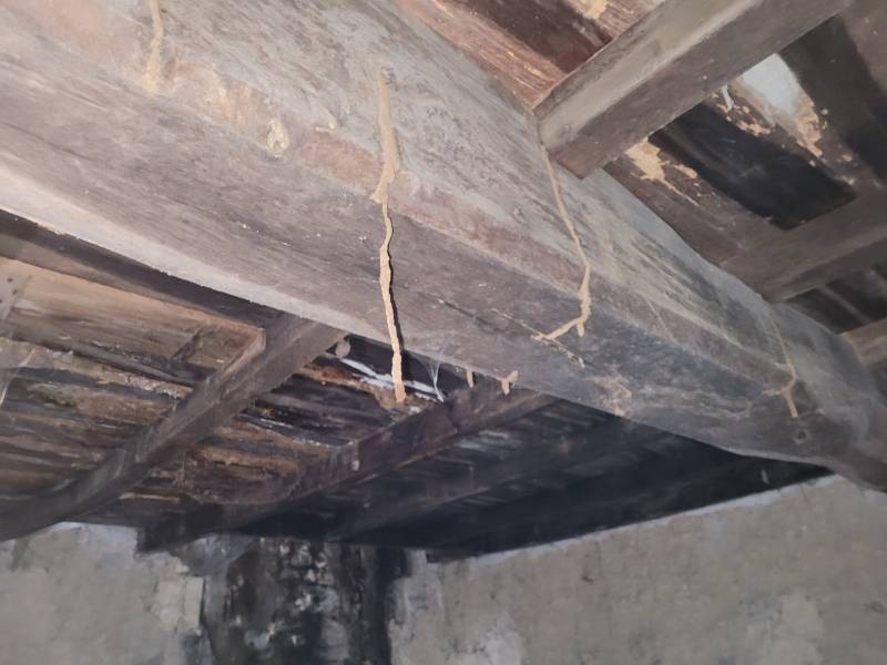 cordon de termites poutre garage castelnau de medoc