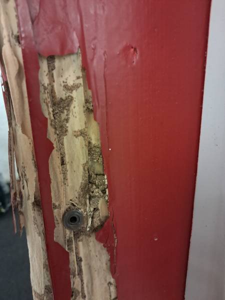 Montant de porte attaqué par les termites dans une bâtisse à MARTIGNAS SUR JALLES