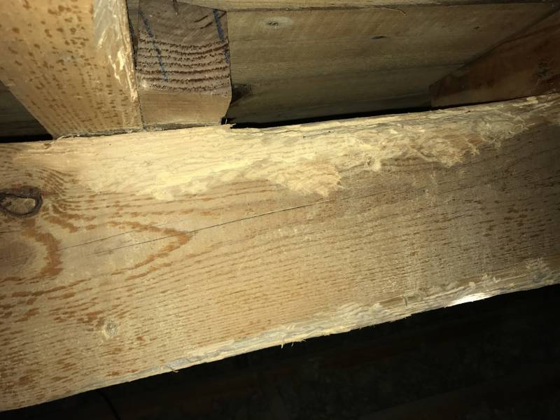 traitement de charpente saint andre de cubzac