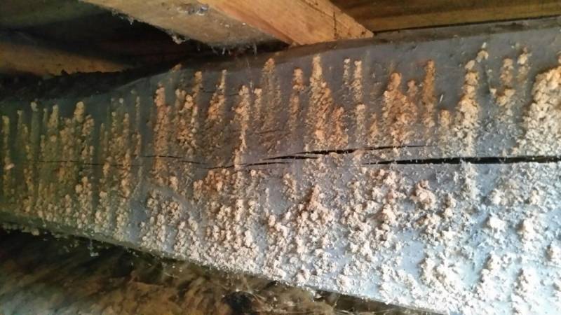 traitement charpente 33