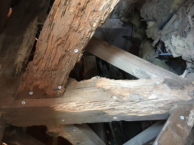 Bois attaqué par les termites à SOULAC SUR MER