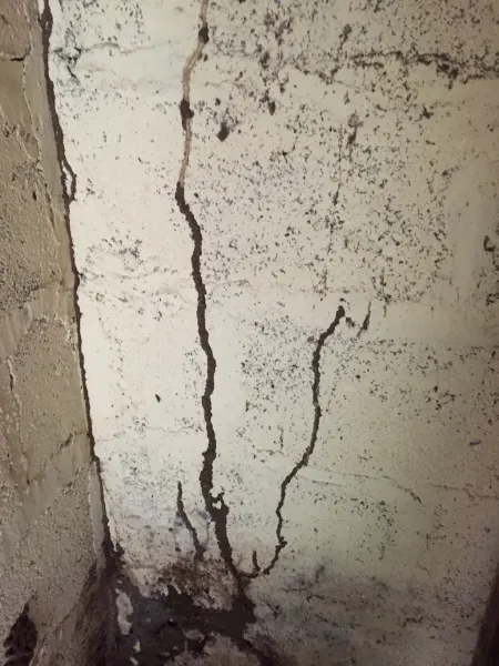 Cordons de termites dans un garage à SAINT ESTEPHE