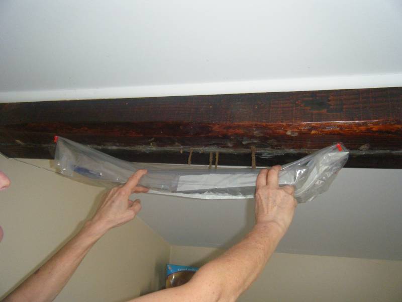 cordon termite lesparre