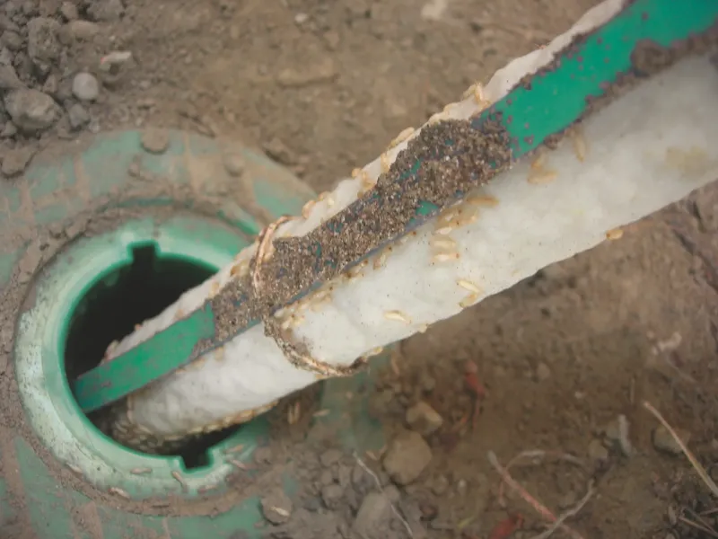 Piège extérieur contre les termites SENTRI TECH au HAILLAN