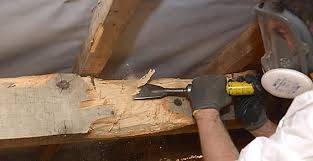 traitement de charpente medoc