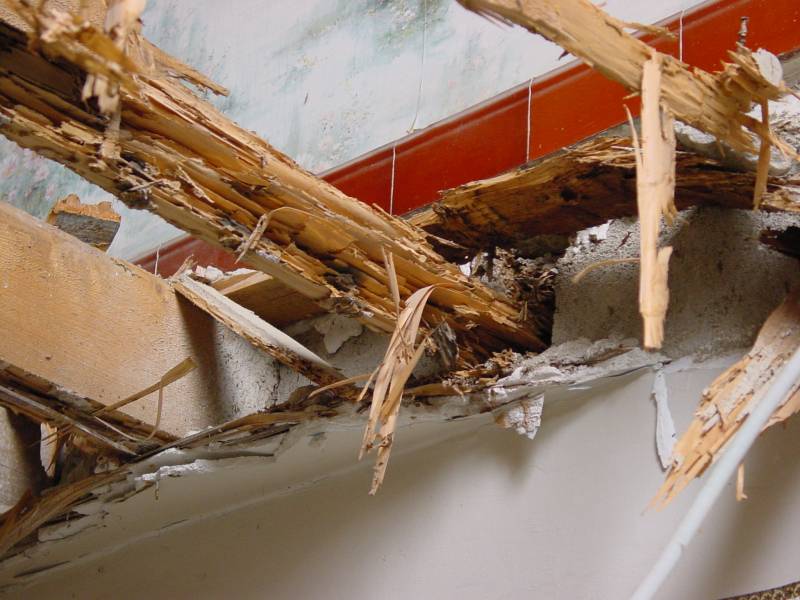 traitement contre les termites bois attaqués medoc