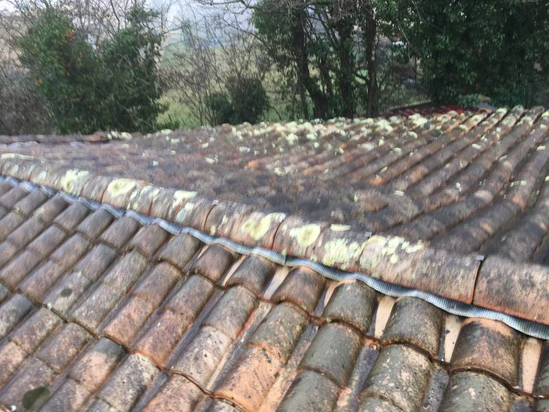 demoussage et nettoyage de toiture medoc