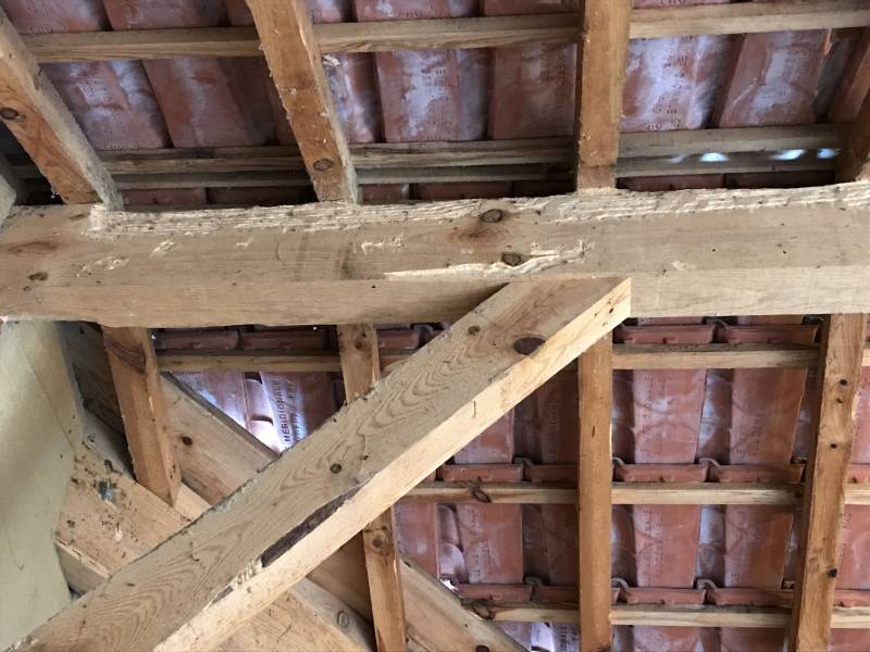 Traitement des bois contre les Capricornes à Lesparre Médoc