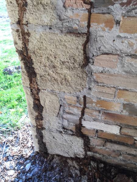 cordon de termite lesparre medoc