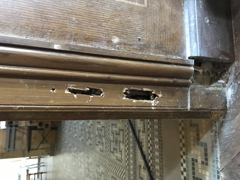 attaque termite saint andre de cubzac