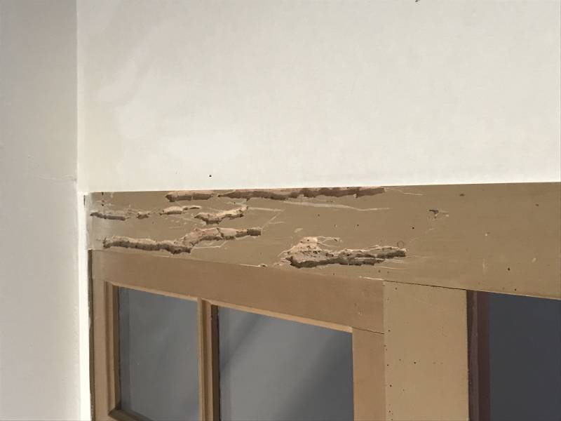 attaque capricorne saint andre de cubzac