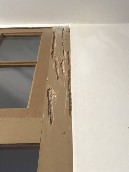 Montant de porte attaquée par les capricornes dans une maison en rénovation à CARCANS