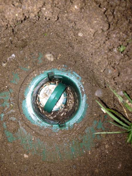 Traitement SENTRI-TECH par pièges contre les termites