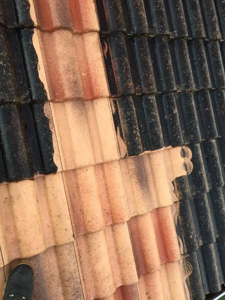 nettoyage demoussage toiture libourne