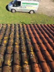 Nettoyage et démoussage de toiture à GRAYAN