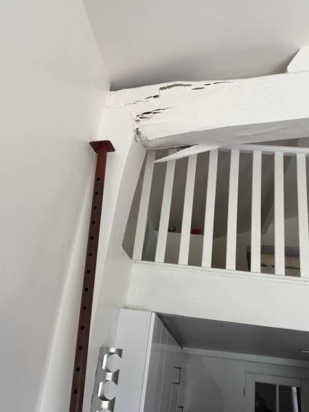 degats termite saint medard en jalles