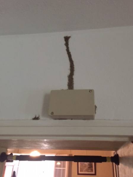 traitement termite par piege saint medard en jalles