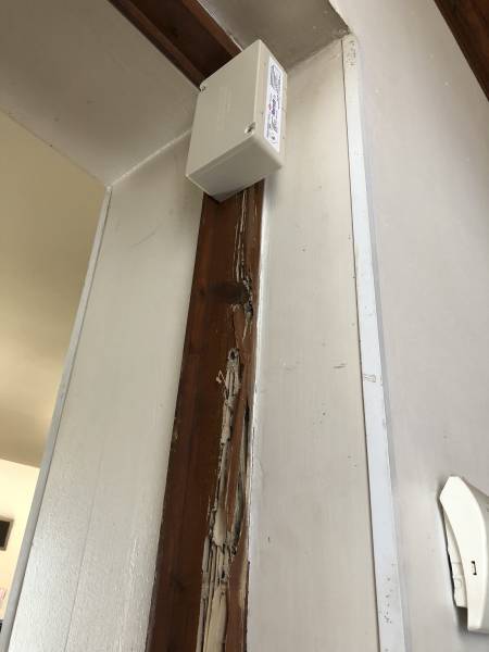 Protection curative contre les termites grâce aux pièges-appâts Sentri-Tech