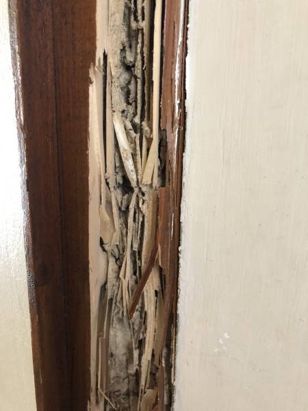 Montant de porte attaqué par les termites 