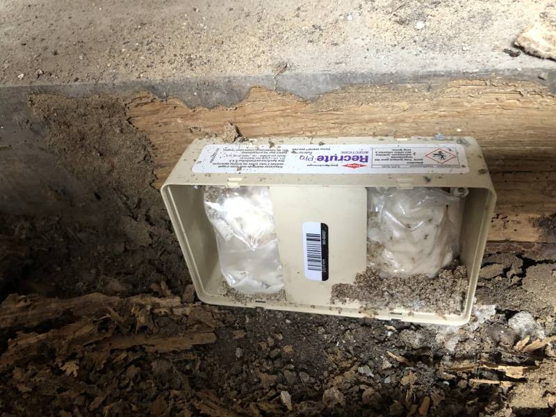 Piège-appât intérieur permettant de traiter directement les termites présents dans le bâtiment