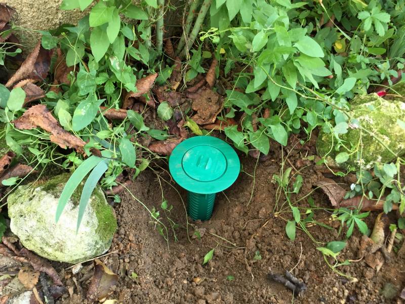 traitement termite piege appat saint medard en jalles