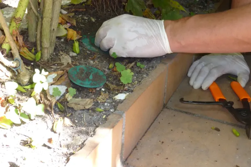 Pose d'un piège appât SENTRI-TECH contre les termites à SAINT ESTEPHE