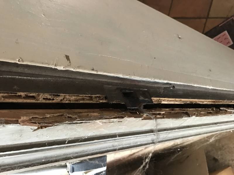 dégât termite medoc