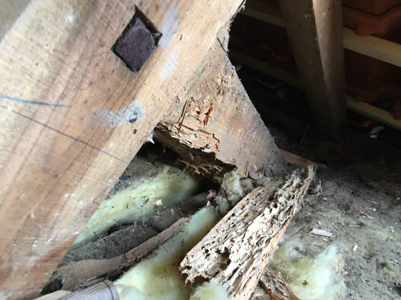 traitement bois termites lacanau