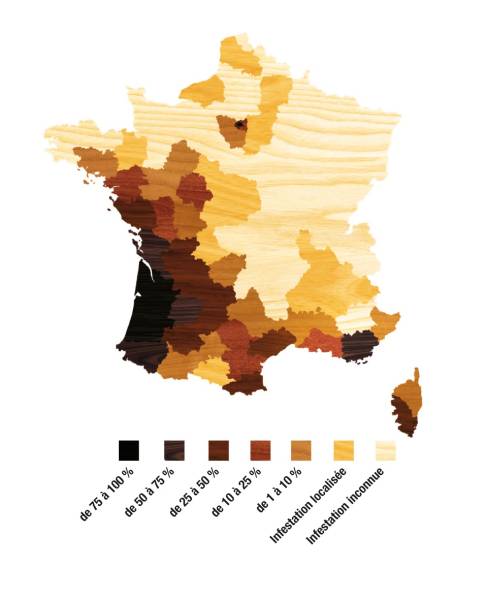 Carte de la FRANCE avec le degrés d'infestation de termites 