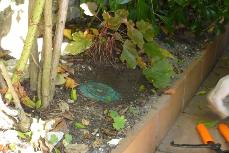 Mise en place d'un piège anti-termites SENTRI TECH au HAILLAN