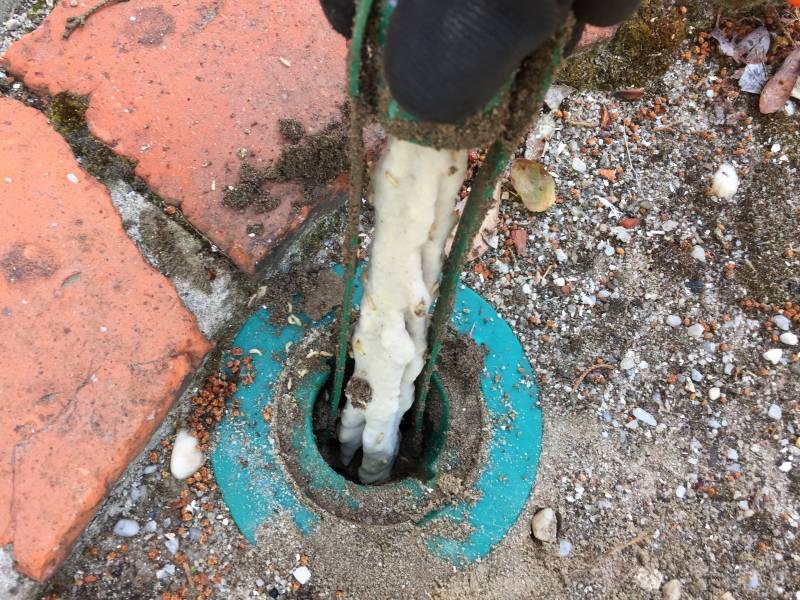 Pièges contre les termites à soulac sur mer