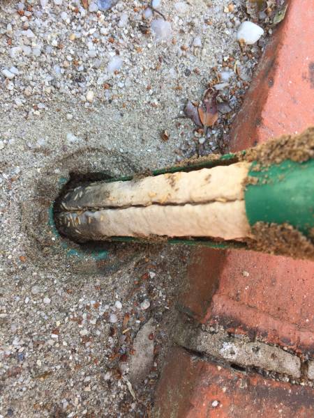 Piège appât SENTRI-TECH avec termites vivants dans un jardin d'une maison protégée contre les termites à ARCACHON