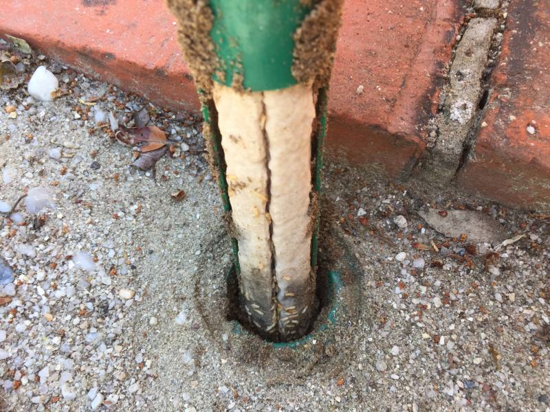 Pièges contre les termites à lacanau