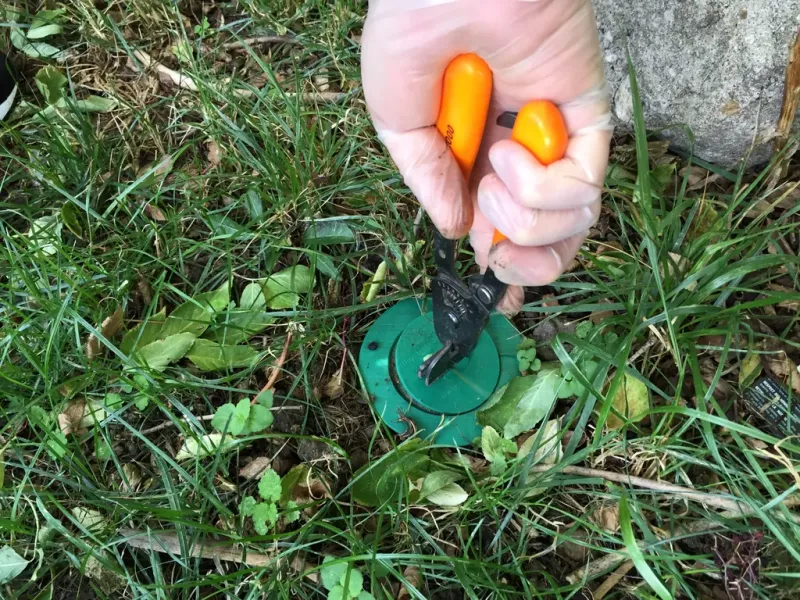 Contrôle d'un piège appât contre les termites en médoc dans un jardin