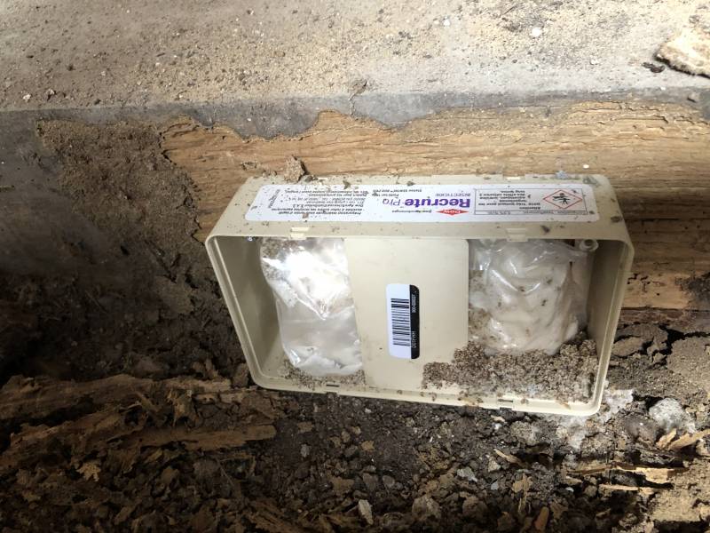 Piège appât intérieur contre les termites à ARCACHON