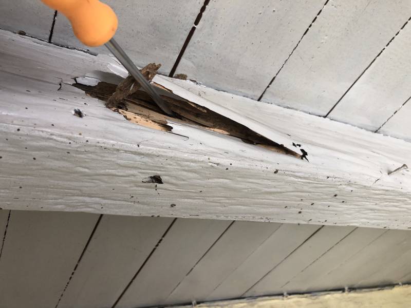 Bois attaqué par les insectes à MARCHEPRIME