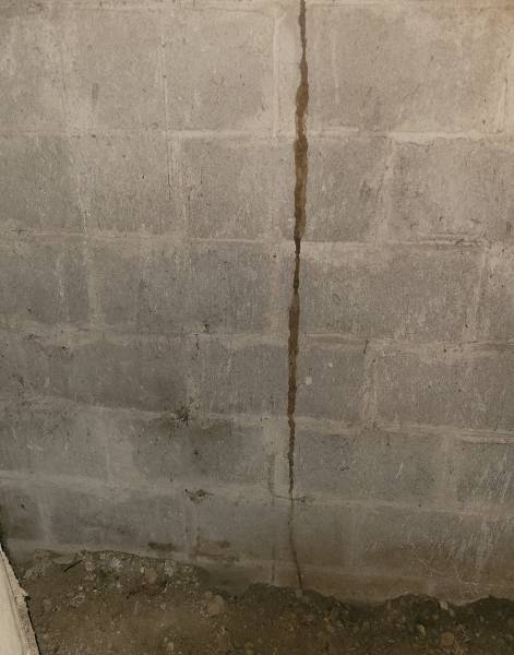 cordon de termites le pian medoc