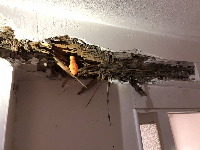 Attaque termite bois à GRAYAN ET L'HOPITAL