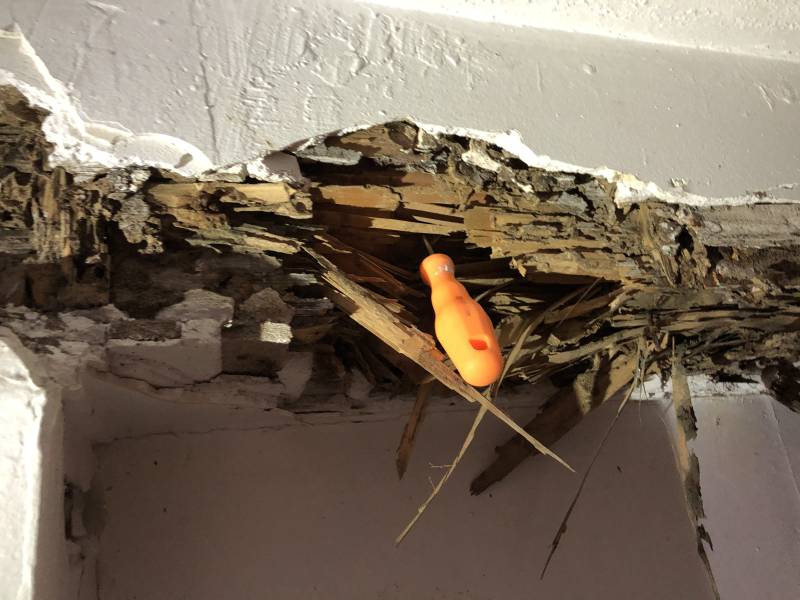 Bois attaqué par les termites à LACANAU