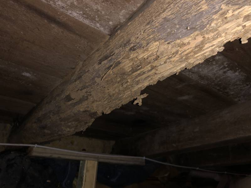 Bois attaqué par les termites à ARCACHON