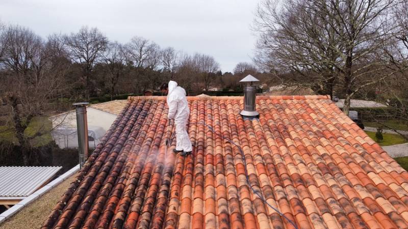 Nettoyage et démoussage de toiture à MONTALIVET