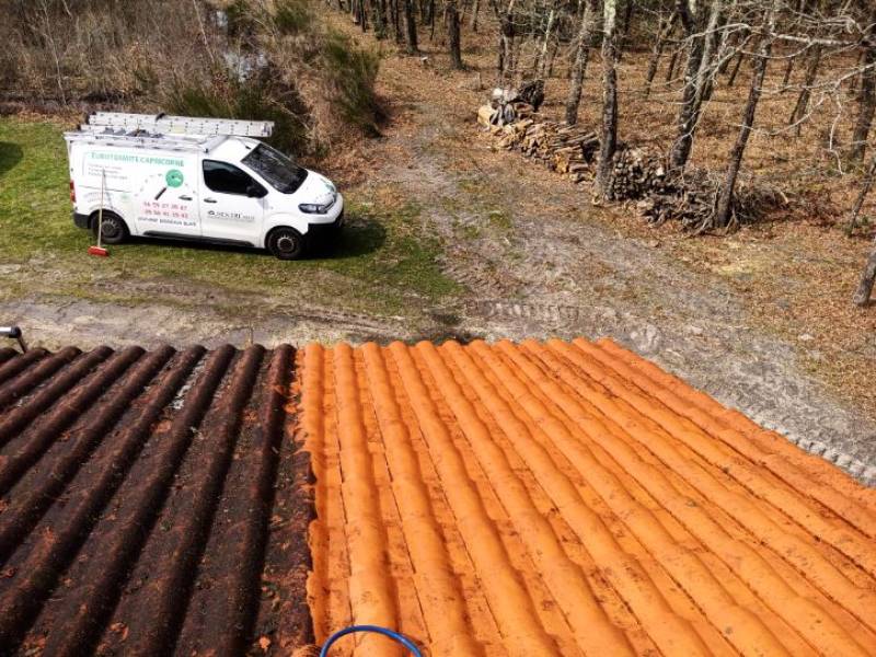 Nettoyage et démoussage de toiture à PAUILLAC 