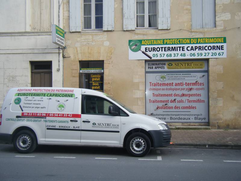 Entreprise de traitement contre les termites dans les bois de charpente à BLAYE proche de ST ANDRE DE CUBZAC