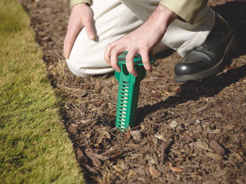 Traitement contre les termites SENTRI-TECH