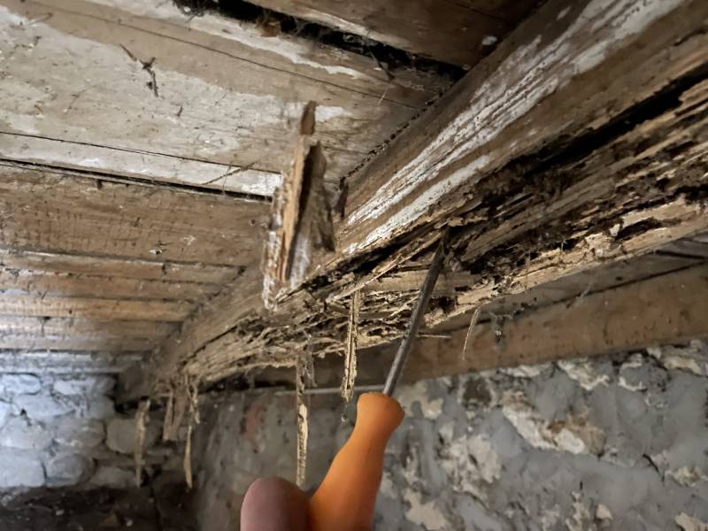 Bois attaqué par les termites à VENDAYS MONTALIVET